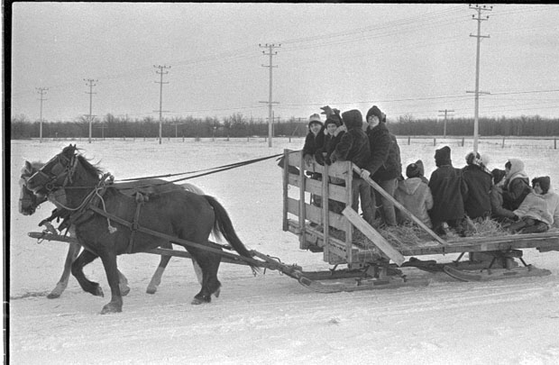 Sleigh Rides
