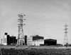 Sugar Beets