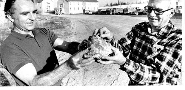 Tantalum Mining Corp. Of Canada Ltd.