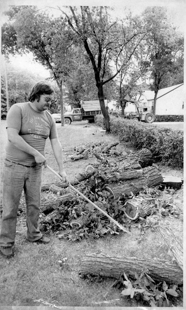 Trees and Tree Pests