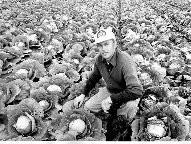 Vegetables