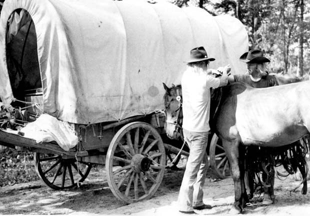 Wagon Trains