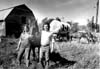 Wagon Trains