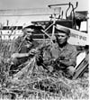 Wheat - General