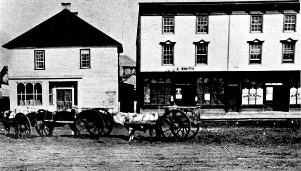 Winnipeg-History