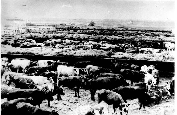 Winnipeg-History