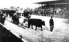 Winnipeg-History