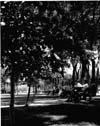 Winnipeg - Parks and Recreation