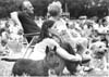 Winnipeg - Parks and Recreation