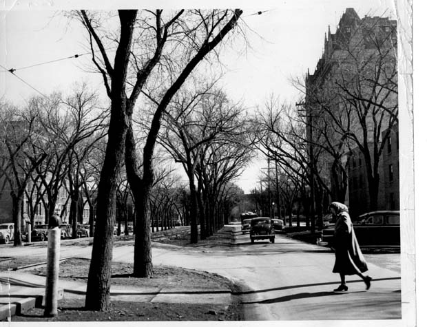 Winnipeg Streets