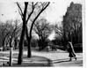 Winnipeg Streets
