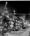 Winnipeg Streets