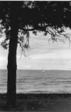 Winnipeg Beach