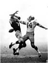 Winnipeg Blue Bombers