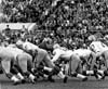 Winnipeg Blue Bombers