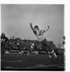 Winnipeg Blue Bombers