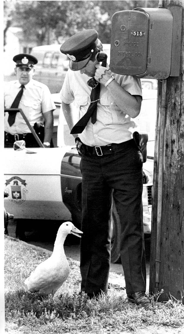 Winnipeg Police