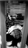 Winnipeg Remand Centre