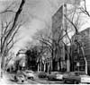Winnipeg Streets