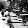 Winnipeg Streets
