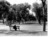 Winnipeg Streets