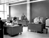 Winnipeg Tribune (General)