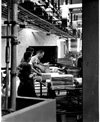 Winnipeg Tribune (General)