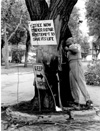 Wolseley Elm Photos