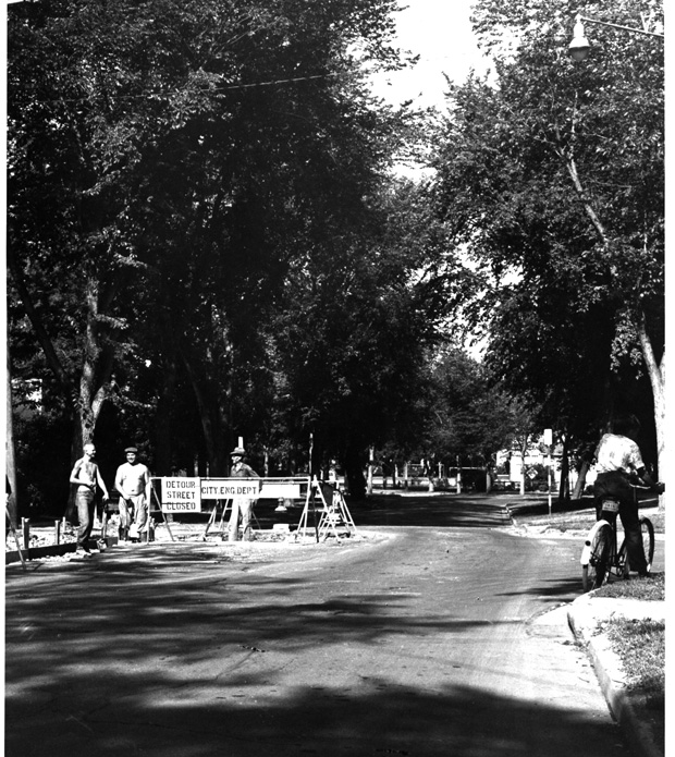 Wolseley Elm Photos