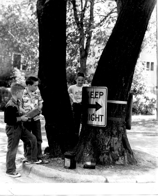 Wolseley Elm Photos
