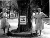 Wolseley Elm Photos