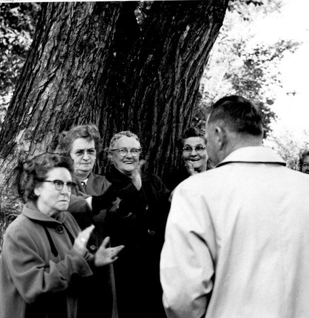 Wolseley Elm Photos