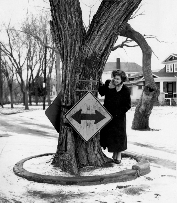 Wolseley Elm Photos